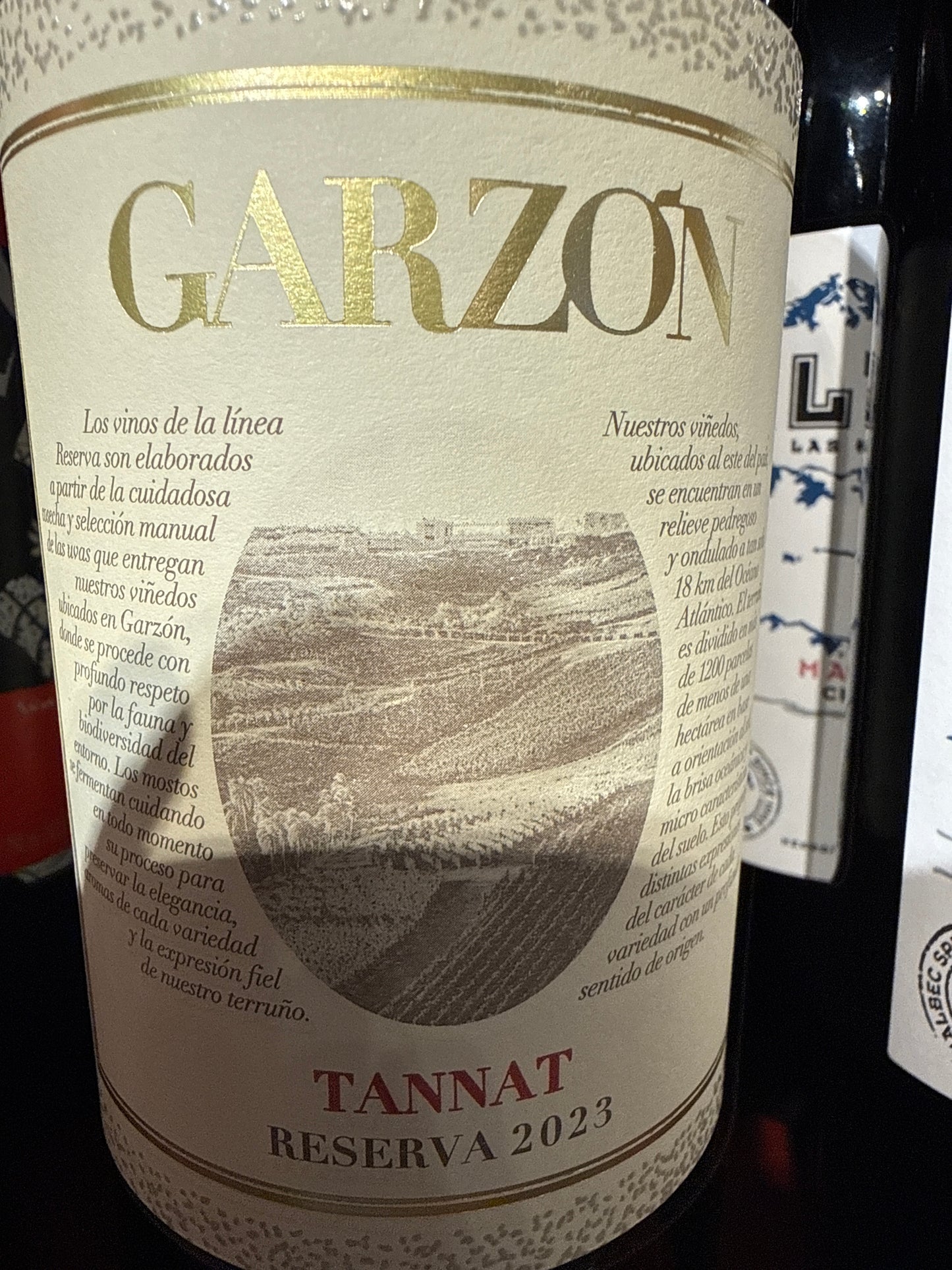 Garzon Reserva Tannat