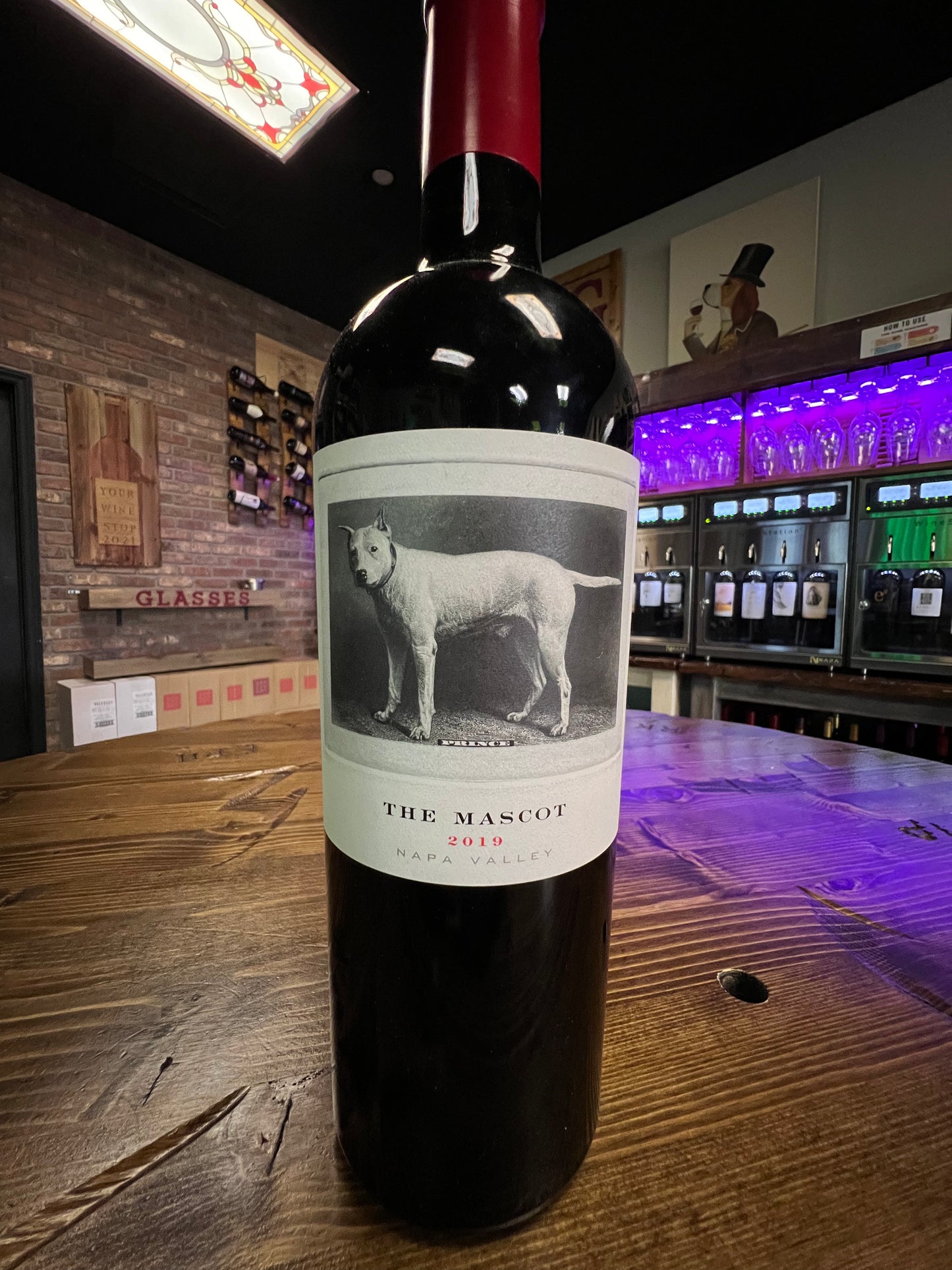 Mascot Cabernet (2019)