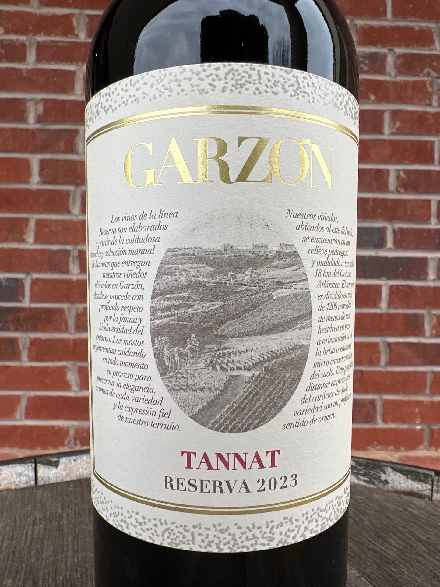 Garzon Reserva Tannat