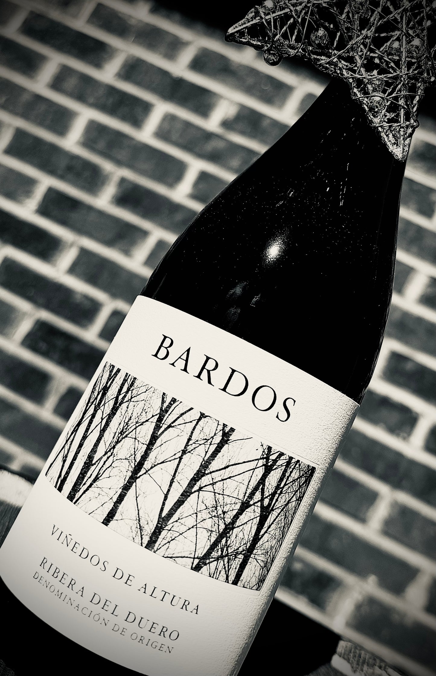 BARDOS ‘Vinedos de Altura’ Tempranillo